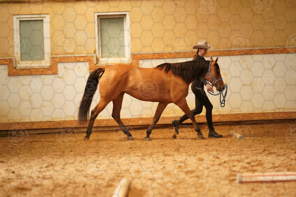 s_A9_07907.jpg